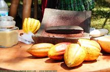 Mayan Chocolate Making & Waterfall Tour from Placencia