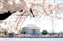 Cherry Blossoms & Monuments Tour with 10+ Stops and Boat Cruise