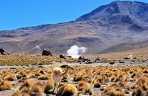 Private Tatio Geysers