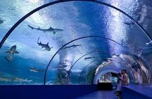 Side Aquarium and Fun Park Tour All Inclusive with Hotel Pickup