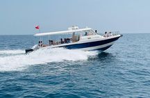 Dimaniyat Islands Snorkeling Adventure Private Tour
