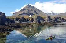 Snaefellsnes Peninsula. Private Day Tour from Reykjavik