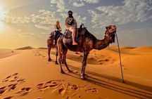 Little Desert & Berber Culture – Day trip from Agadir