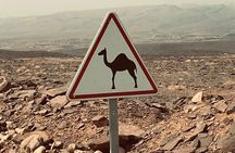 Little Desert & Berber Culture – Day trip from Agadir