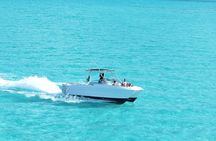 Full Day Private Boat Snorkeling, Sightseeing and Beach BBQ
