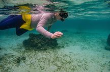 Roatan Private Tour: Snorkeling, Wildlife Sanctuary and Beach