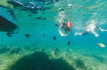 Roatan Private Tour: Snorkeling, Wildlife Sanctuary and Beach