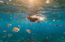 Roatan Private Tour: Snorkeling, Wildlife Sanctuary and Beach