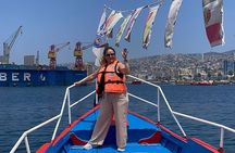 Valparaiso, Boat, Vineyard of the Sea and Tasting in Vineyard Boutique