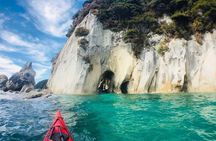Paddle in Abel Tasman and Pedal the Great Taste Trail