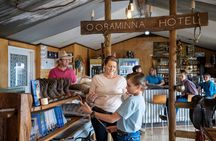 1 Day Alice Explorer