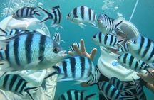 【Okinawa】Sea Walk Tour in onna village with Free Benefits