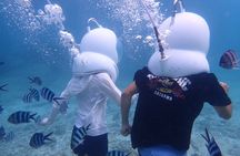 【Okinawa】Sea Walk Tour in onna village with Free Benefits