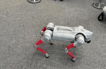 Shenzhen Future Tech Tour: Robots, Drone Delivery & Self-Driving