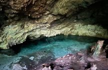 Spice Farm,Jozani forest,Kuza cave,Paje beach&The Rock Restrant 