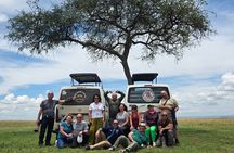 Nairobi National Park Tour