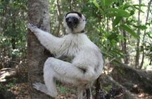 Adventure Tour West Madagascar | Nature and Discovery