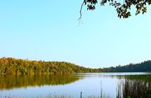 Lake Duluti Walking Safari Nature and Birdlife Experience
