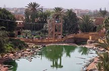 Agadir Crocoparc: Hotel Transfer + Tickets – Family Special