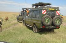 3-Day Masai Mara Group Safari with Pick Up