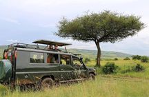 Masai Mara 3 Day Safari | Private 4WD Jeep Tour