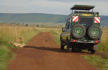 Masai Mara 3 Day Safari | Private 4WD Jeep Tour