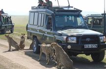 Masai Mara 3 Day Safari | Private 4WD Jeep Tour