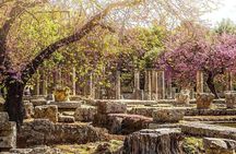 Best Olympia Shore Excursion from Katakolon Port