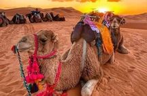 Merzouga Desert Tour 3 Days 2 Nights from Marrakech