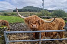 Mini Highlands Tour: Discover Castles, Lochs and Mountain Glens