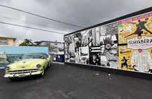 Miami Private Walking Tour with a Local