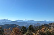 Half Day Hiking at Mt Takao Back to Shinjuku by Noon