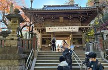 Half Day Hiking at Mt Takao Back to Shinjuku by Noon