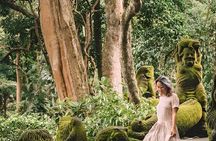 Ubud Highlights: Sacred Temples, Waterfalls & Rice Terrace