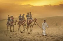 Morning Vip Red Dunes Safari: Camel Ride & Sandboarding Adventure