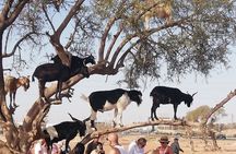 Paradise Valley Agadir + breakfast & Quad Bike Adventure Package 