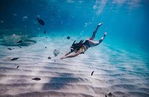  Turtle Spotting Snorkel Malmok And Tres Trapi