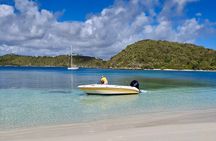 FANTASTIC Green Island and Sea Turtles - Half Day share boat trip