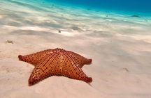 Snorkeling adventure in El Cielo, El Cielito, Palancar and Colombia.