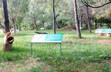 Wild Agaves Hiking Experience in Oaxaca