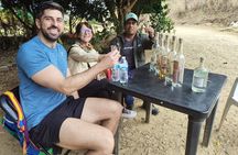 Wild Agaves Hiking Experience in Oaxaca