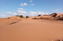 3-Day Private 4x4 Sahara Tour from Marrakech w/ Camel Ride