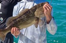 Fishing Charters in Clearwater Beach Florida