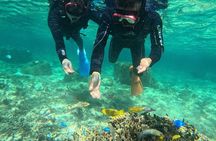 Okinawa Blue Cave Adventure