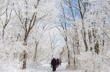 Mount Seorak and Nami Island One Day Tour from Seoul