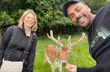 Dublin Private Walking Tour with a Local