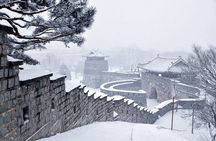 Korean Folk Village and Suwon Hwaseong Fortress Day Tour(EG Tour)