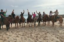  Shore Excursion Aruba’s Ecological and Beach Horseback Riding 
