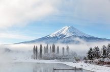 Mt. Fuji Highlight Photo Spots One Day Tour from Tokyo