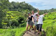 Ubud Half-Day Tour: Monkey Forest, Rice Terrace & Waterfall